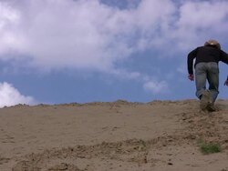 URBAN COWBOY Stock Footage