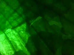 HD 1080i Abstract Green Color Wash with Grungy Grit Stock Footage
