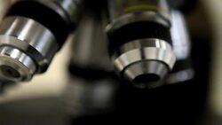 Microscopy (HD) Stock Footage