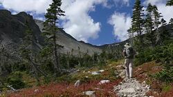 Backpacker man hiking Indian Peaks Wilderness Buchanan Pass trail Colorado Stock Footage