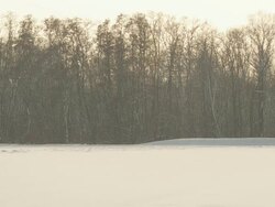 HD SLOW MOTION: Sparkling Snowfall Stock Footage