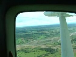 CLEAN: Endangered crocodile saved by brand benefactor? News Clip