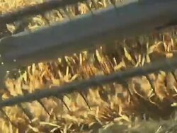 CU POV Combine grain head reel turning to flow winter wheat into cutting blade and auger during  summer harvest  / Dansville, Michigan, United States Stock Footage