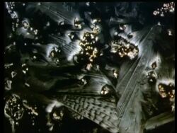 Crystals, dark green Stock Footage