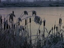 PAL: Freezed up Lake Stock Footage