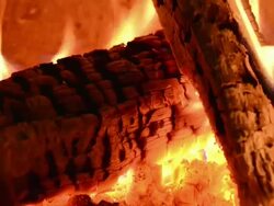 Fireplace Stock Footage