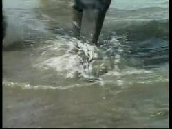 NICARAGUA: BODIES FOUND AFTER BOAT CARRYING ECUADORANS SINKS News Clip