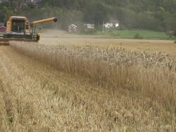 Threshing machine Stock Footage