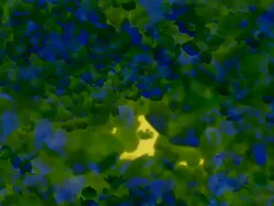 FLOWERS : green close-up (TRANSITION) Stock Footage