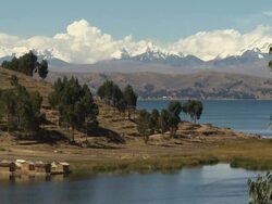 View of small huts on lake titicaca, with trees on hill, further view of lake and snow capped mountains in b/g, near Tiwanaku Tiahuanaco/Tiahuanacu, Bolivia Stock Footage