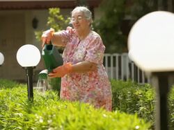 Senior woman spraying water on plants in a lawn  Stock Footage