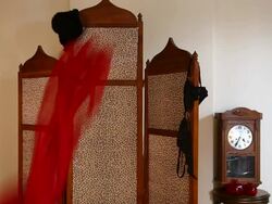 folding screen furniture with woman Stock Footage