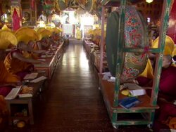 WS PAN Monks sitting in  row wearing tall headdresses during  prayer ceremony  AUDIO / Kathmandu, Central Region, Nepal  Stock Footage