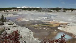 Steaming Norris Geyser Basin Yellowstone National Park Wyoming Stock Footage