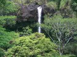 Hawaii waterfalls Stock Footage