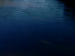 CU following a river, pulling up to reveal trees Stock Footage