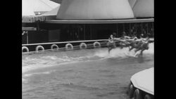 News Item (83c8e1fb-d9ac-04dd-5c30-27549febb783) News Clip