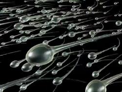 Sperm Swimming (Loopable) Stock Footage