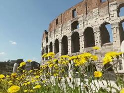 Coliseum at summer in Rome Stock Footage