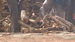 CLEAN : Niger promotes gas to fight desertification News Clip