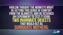 Harlow's Horrifying Monkey Experiments Instructional Video