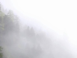 HD: Ayder Plateau,Forest and Fog, Rize, TURKEY Stock Footage