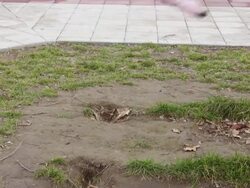 Seesaw (HD) Stock Footage