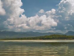 Nature, River. Stock Footage