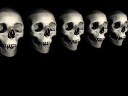 (Loop) Halloween Skulls Stock Footage