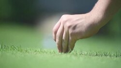 Golfer sets the ball Stock Footage