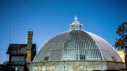 Starry Night Sky Greenhouse Time Lapse Stock Footage