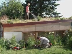 WS Woman watering grass and plants on green roof while man plants flowers in garden below / Seattle, Washington, USA Stock Footage