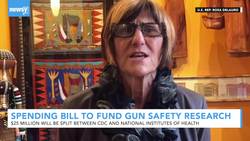 Bipartisan Spending Bill To Fund Gun Safety Research News Clip