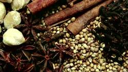 Indonesia Instructional Video