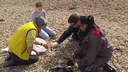 Coastal clean-up to rid British beaches of rubbish News Clip