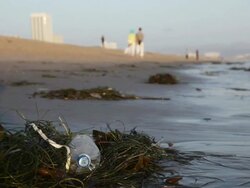 MS Discarded water bottle laying on beach in sea grass, couple walking in distance at sunset time / Venice Beach, Los Angeles, California, United States Stock Footage