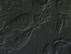 Human sperm swimming amongst semen plasma, Interference contrast Stock Footage