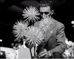 BEAUTIFUL BLOOMS News Clip