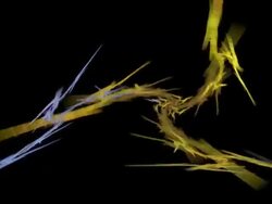 Swirling leafy fractal Stock Footage