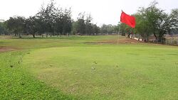 Golf Course Putting Green with flag Stock Footage