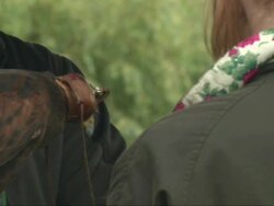 Rufus the Hawk with Handler News Clip