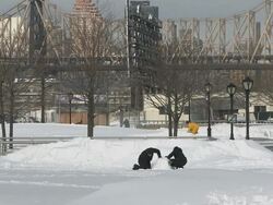 WS Couple making snowman / New York City, New York, USA Stock Footage