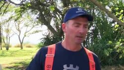 Rhino horns sawn off to protect  animals from poachers Instructional Video