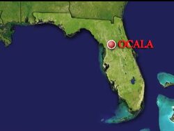 Fla. pharmacy tells AP it made mistake in making supplement for dead polo horses News Clip