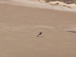 WS AERIAL TS ZO View of paragliding with landscape / Languedoc Roussillon, France Stock Footage