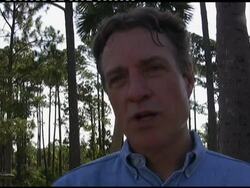 Biologists move turtle eggs to save them from oil slick News Clip