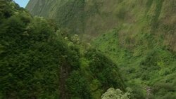 A stream flows through a beautiful and lush Hawaiian valley. Stock Footage
