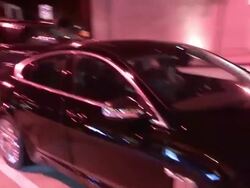 Dog The Bounty Hunter (Duane Chapman) and Beth Chapman depart from Craig's in West Hollywood Stock Footage