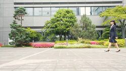 Japanese Corporate Professional Business Women Traditional Greeting For Meeting Stock Footage