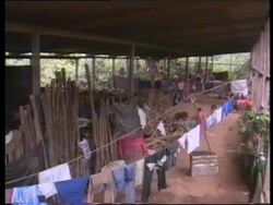 GUATEMALA: UNICEF EXPRESS CONCERN OVER CHILDREN'S RIGHTS News Clip